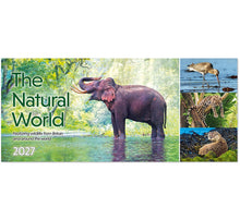 Load image into Gallery viewer, The Natural World Desk

