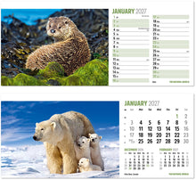 Load image into Gallery viewer, The Natural World Desk
