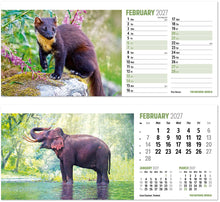 Load image into Gallery viewer, The Natural World Desk
