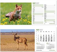 Load image into Gallery viewer, The Natural World Desk

