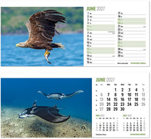 Load image into Gallery viewer, The Natural World Desk
