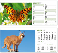 Load image into Gallery viewer, The Natural World Desk
