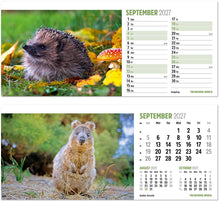Load image into Gallery viewer, The Natural World Desk

