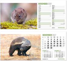 Load image into Gallery viewer, The Natural World Desk
