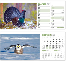 Load image into Gallery viewer, The Natural World Desk
