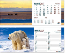 Load image into Gallery viewer, Wild Planet Desk
