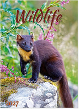 Load image into Gallery viewer, Wildlife in Britain
