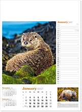 Load image into Gallery viewer, Wildlife in Britain
