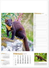 Load image into Gallery viewer, Wildlife in Britain
