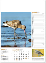 Load image into Gallery viewer, Wildlife in Britain
