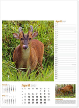 Load image into Gallery viewer, Wildlife in Britain
