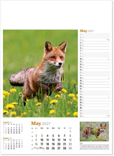 Load image into Gallery viewer, Wildlife in Britain
