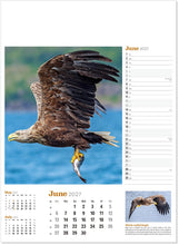 Load image into Gallery viewer, Wildlife in Britain
