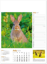 Load image into Gallery viewer, Wildlife in Britain
