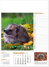 Load image into Gallery viewer, Wildlife in Britain
