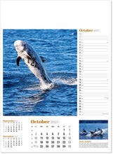 Load image into Gallery viewer, Wildlife in Britain

