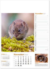 Load image into Gallery viewer, Wildlife in Britain
