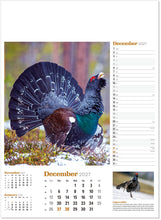 Load image into Gallery viewer, Wildlife in Britain
