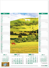Load image into Gallery viewer, Pictorial Britain
