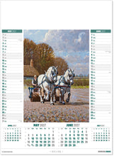 Load image into Gallery viewer, Working Horse
