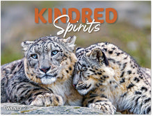 Load image into Gallery viewer, Kindred Spirits
