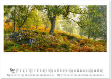 Load image into Gallery viewer, Colin Prior Elementals Wall
