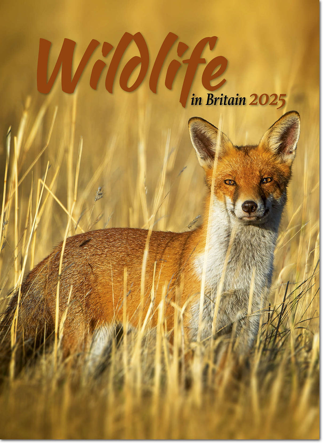 Wildlife in Britain